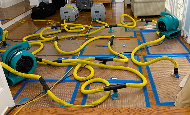 Professional Structural Drying And Dehumidification technician working in Stewart, TN